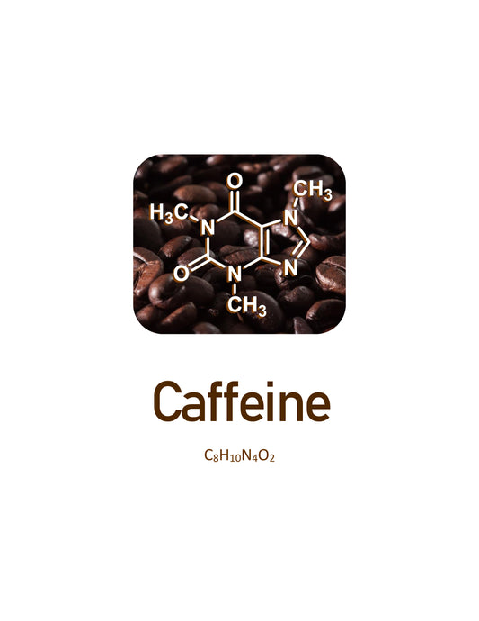 Coffee Molecule (Caffeine) – STEAM Digital Art Print